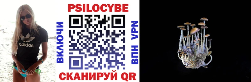 Купить  Суровикино  Псилоцибиновые грибы Cubensis 